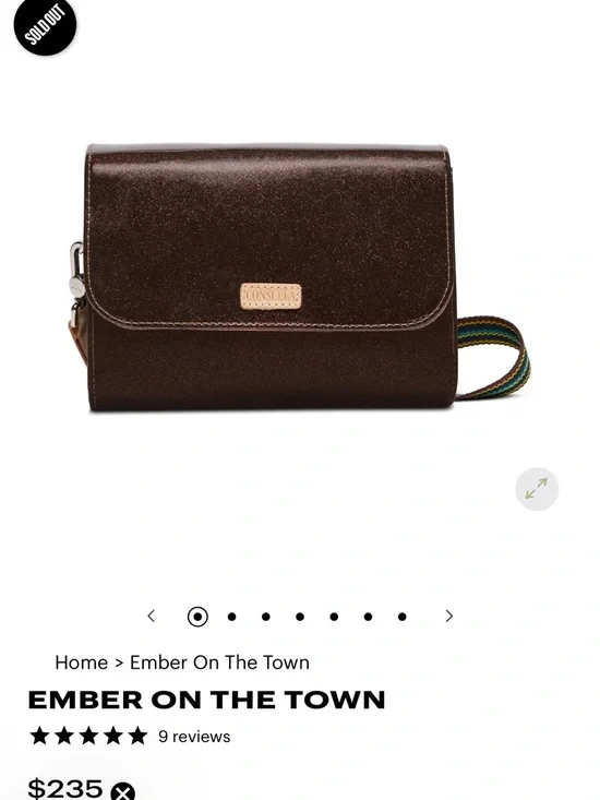 Consuela Ember On the Town Chocolate Brown Sparkle Crossbody with Striped Strap - Picture 7 of 8